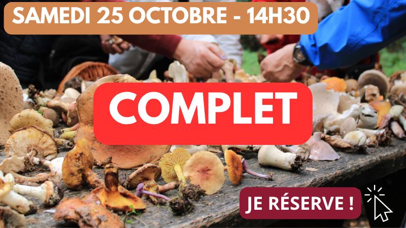 25_10 14h30 complet 25_10 14h30 complet