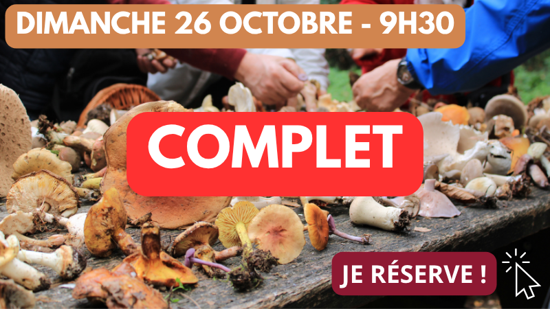 26_10 9h30 complet 26_10 9h30 complet