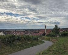 Grand Cru Steinert Pfaffenheim Grand Cru Steinert Pfaffenheim