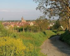 Grand Cru Vorbourg Rouffach