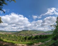 Vignoble et Collines Sèches Bollenberg Vignoble et Collines Sèches Bollenberg